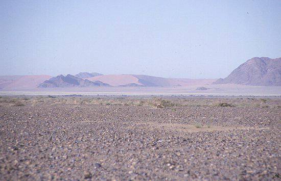 Namib Wüste von der C826 aus