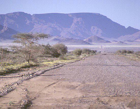 Piste durch die Namib Wüste