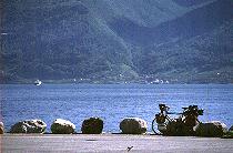 Bike / Hardangerfjord